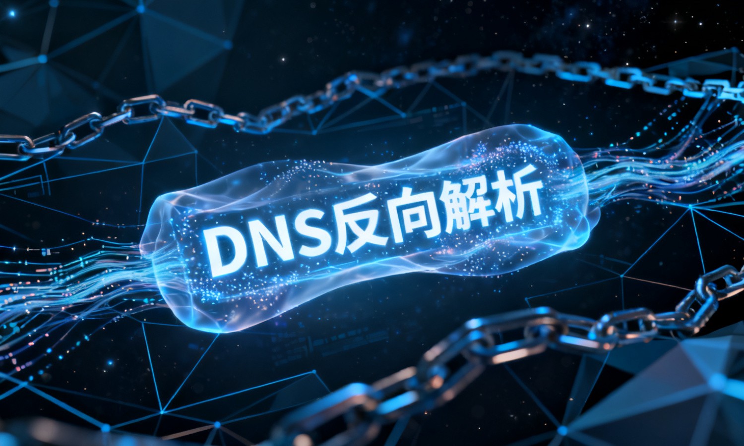 DNS反向解析