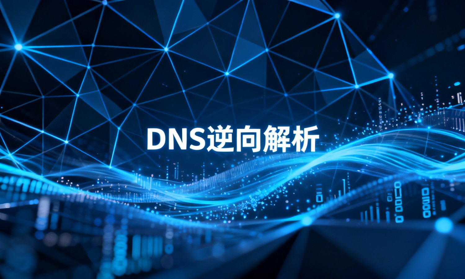 DNS逆向解析