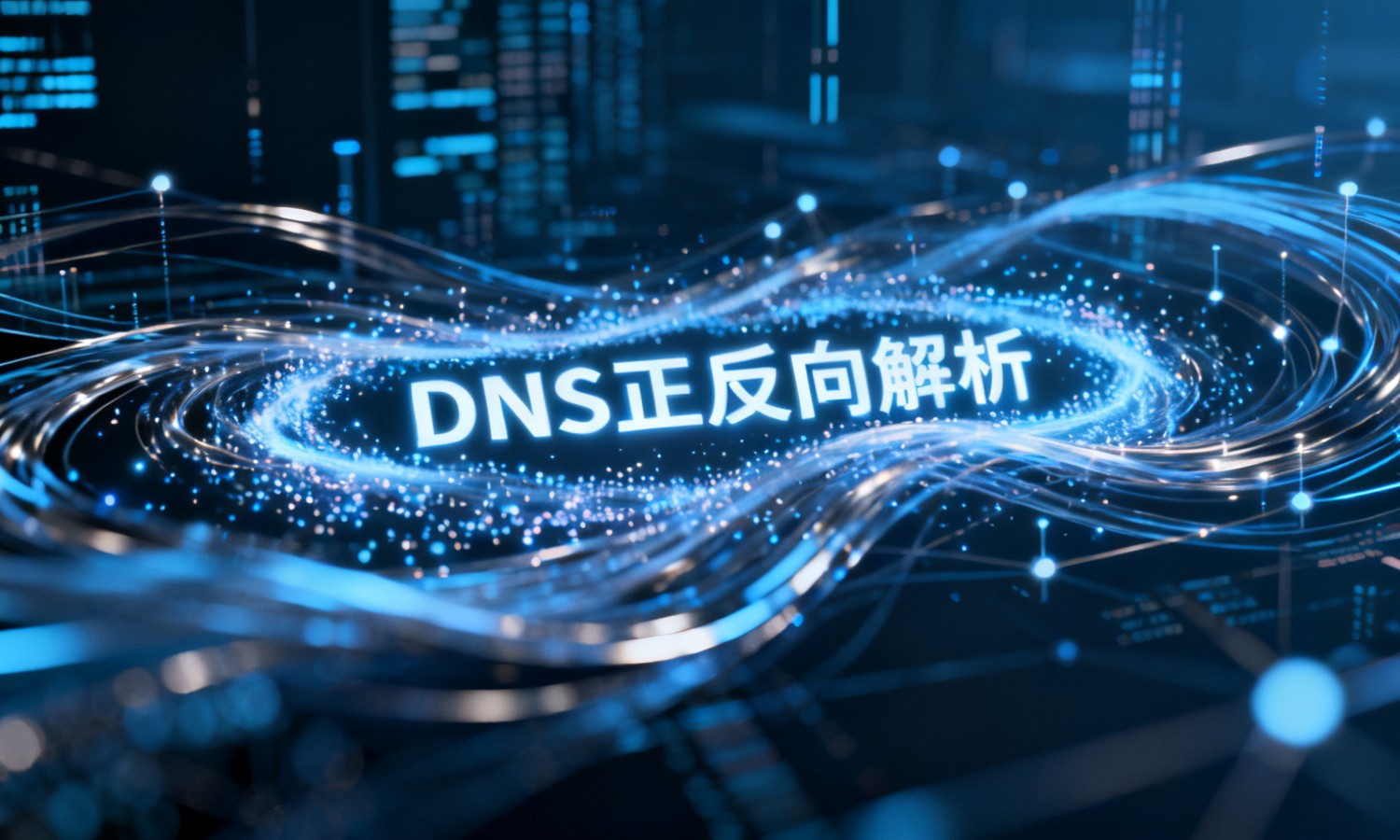 DNS正反向解析