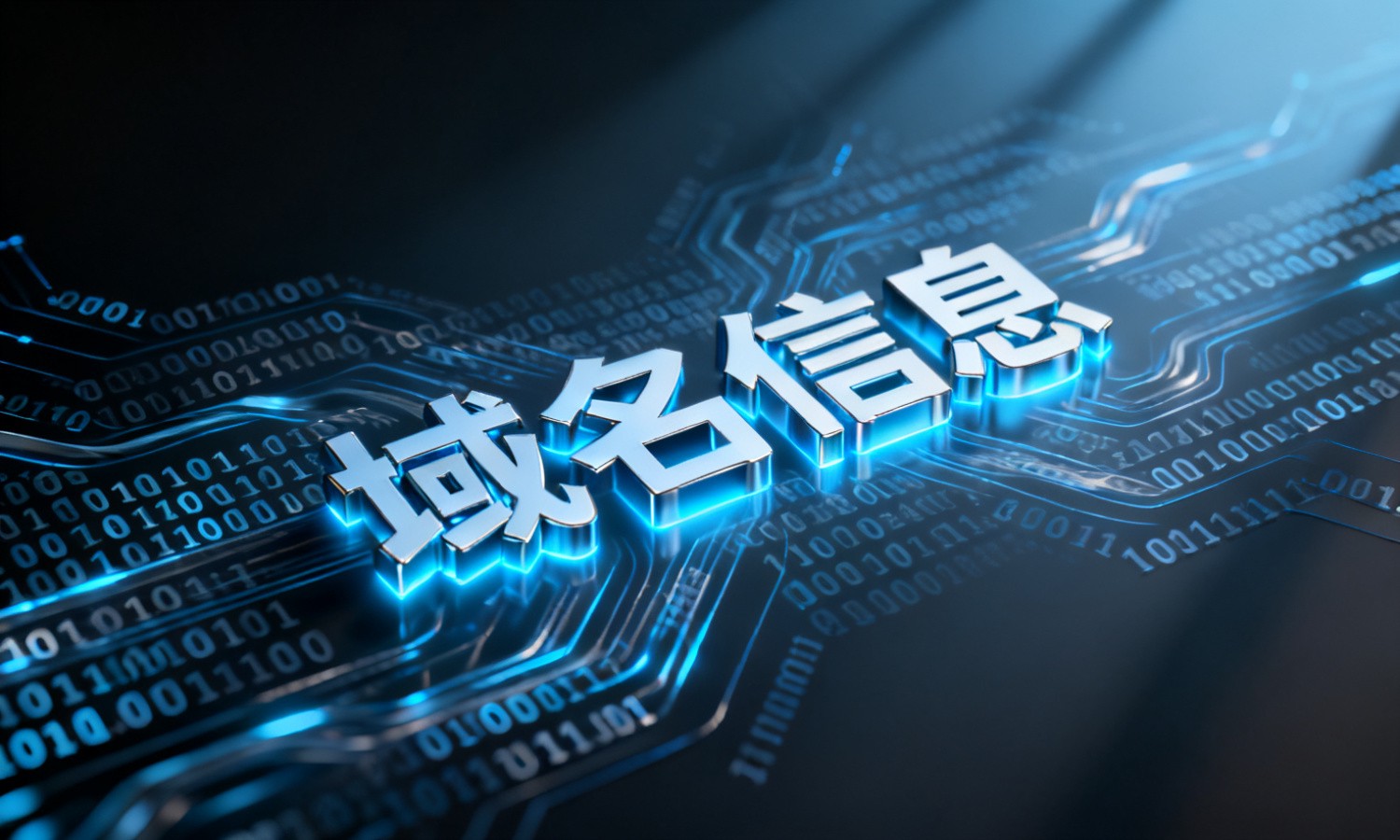 域名信息