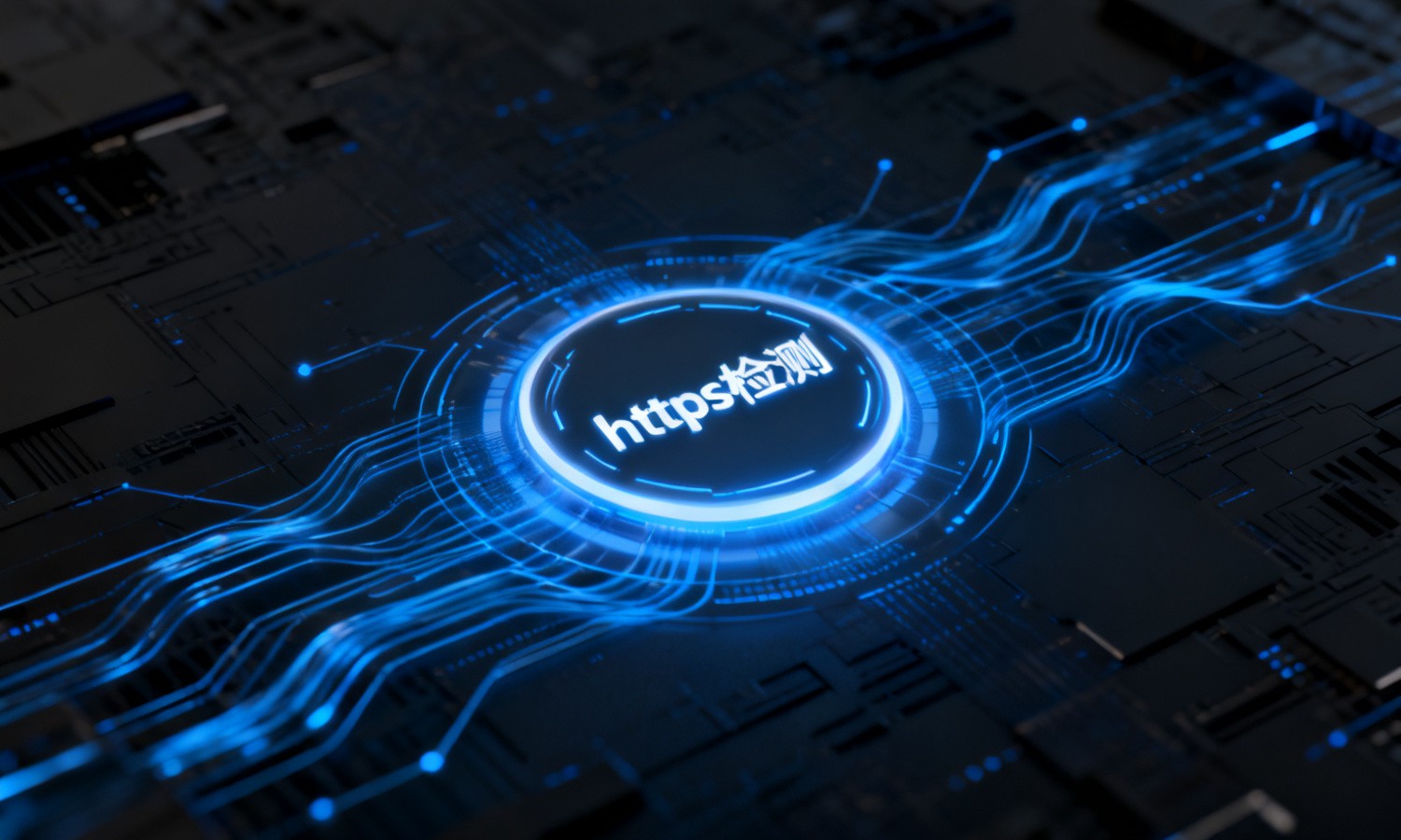https检测