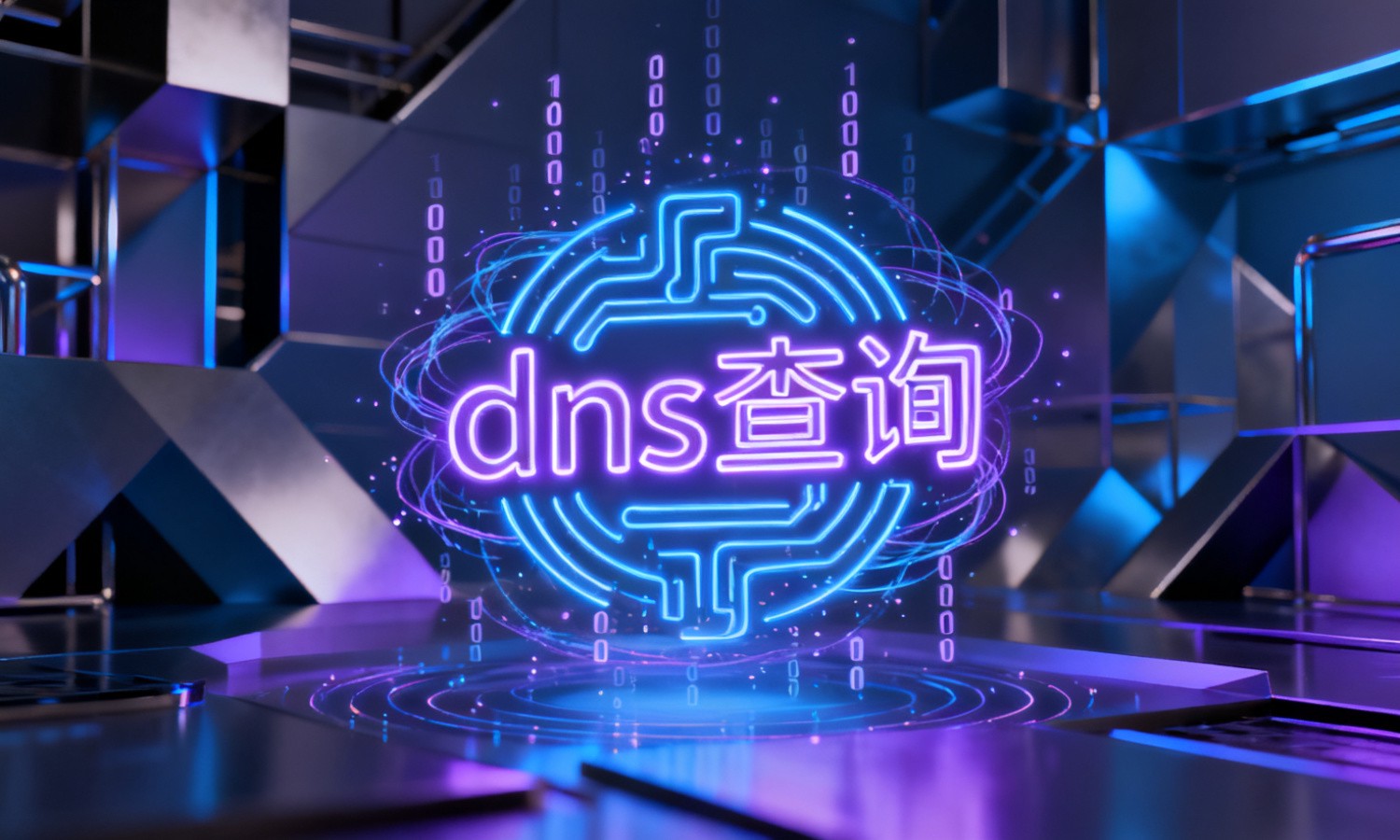 dns查询