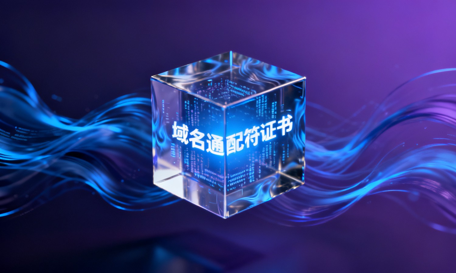 域名通配符证书