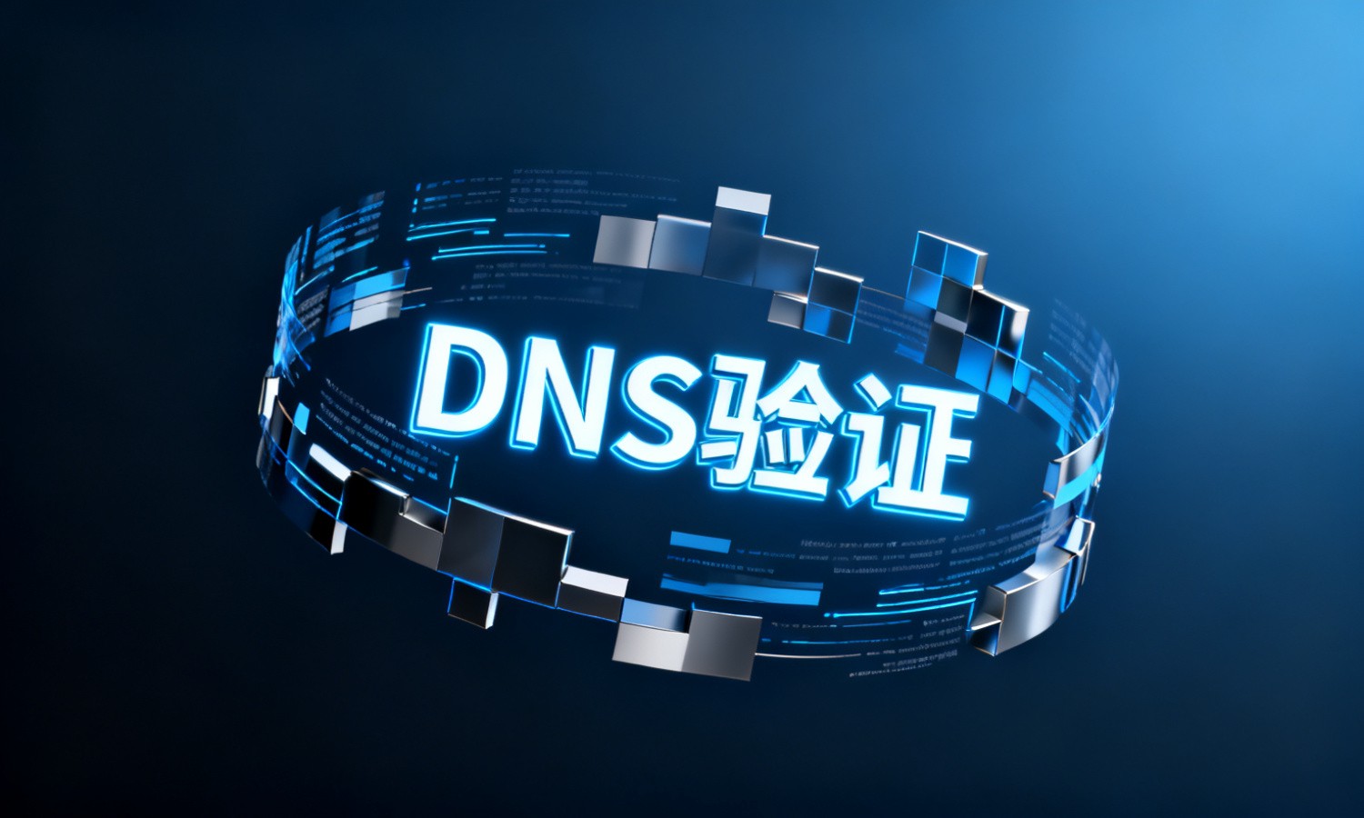 DNS验证