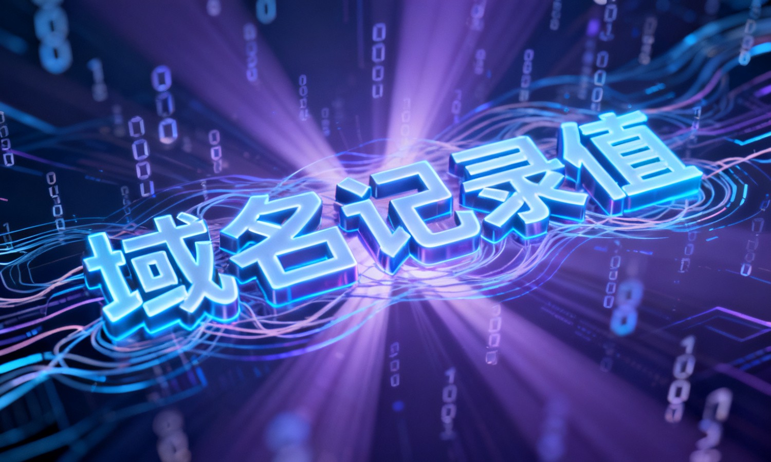 域名记录值