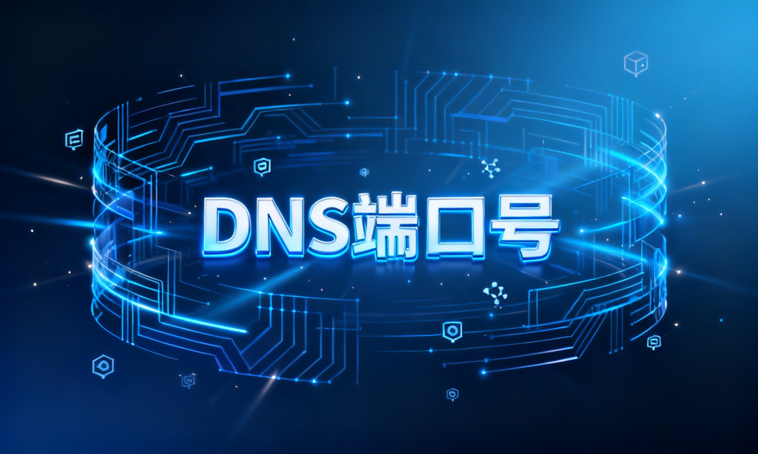 DNS端口号