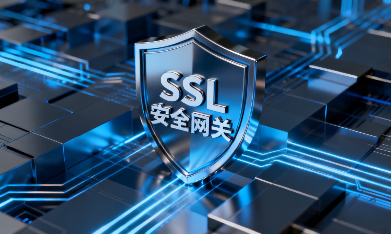SSL安全网关
