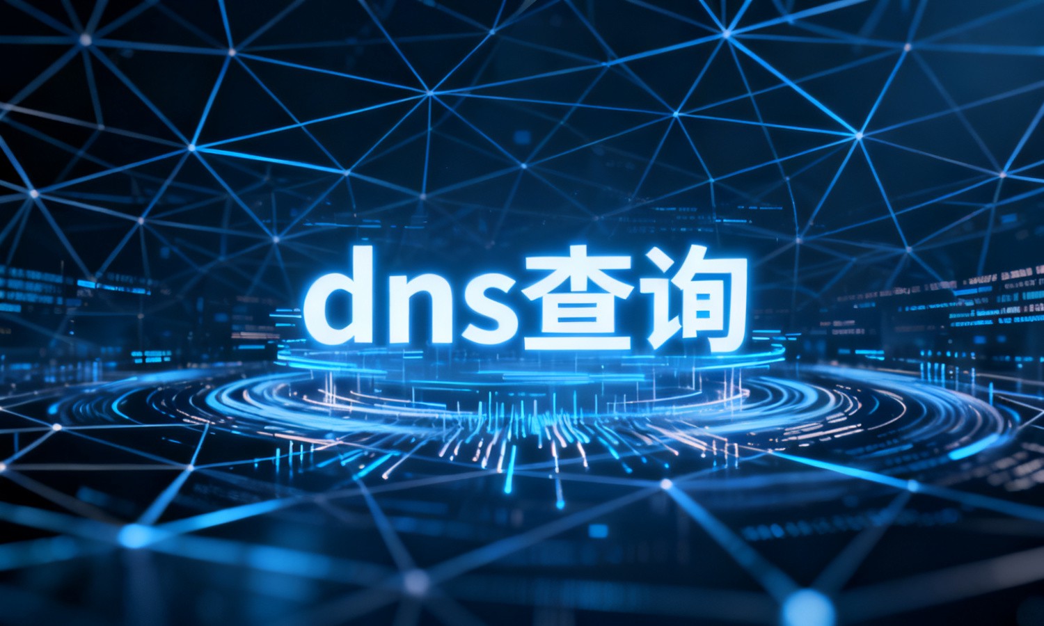 dns查询