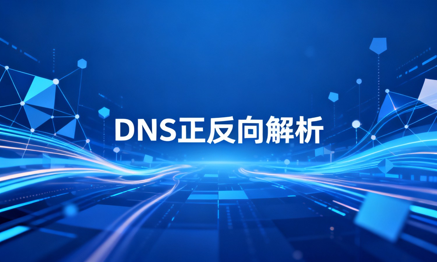 DNS正反向解析