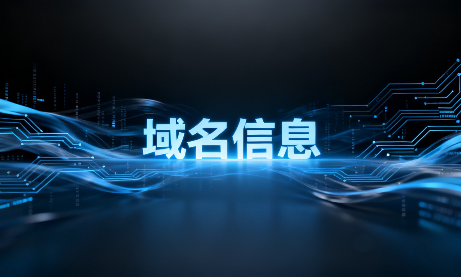 域名信息