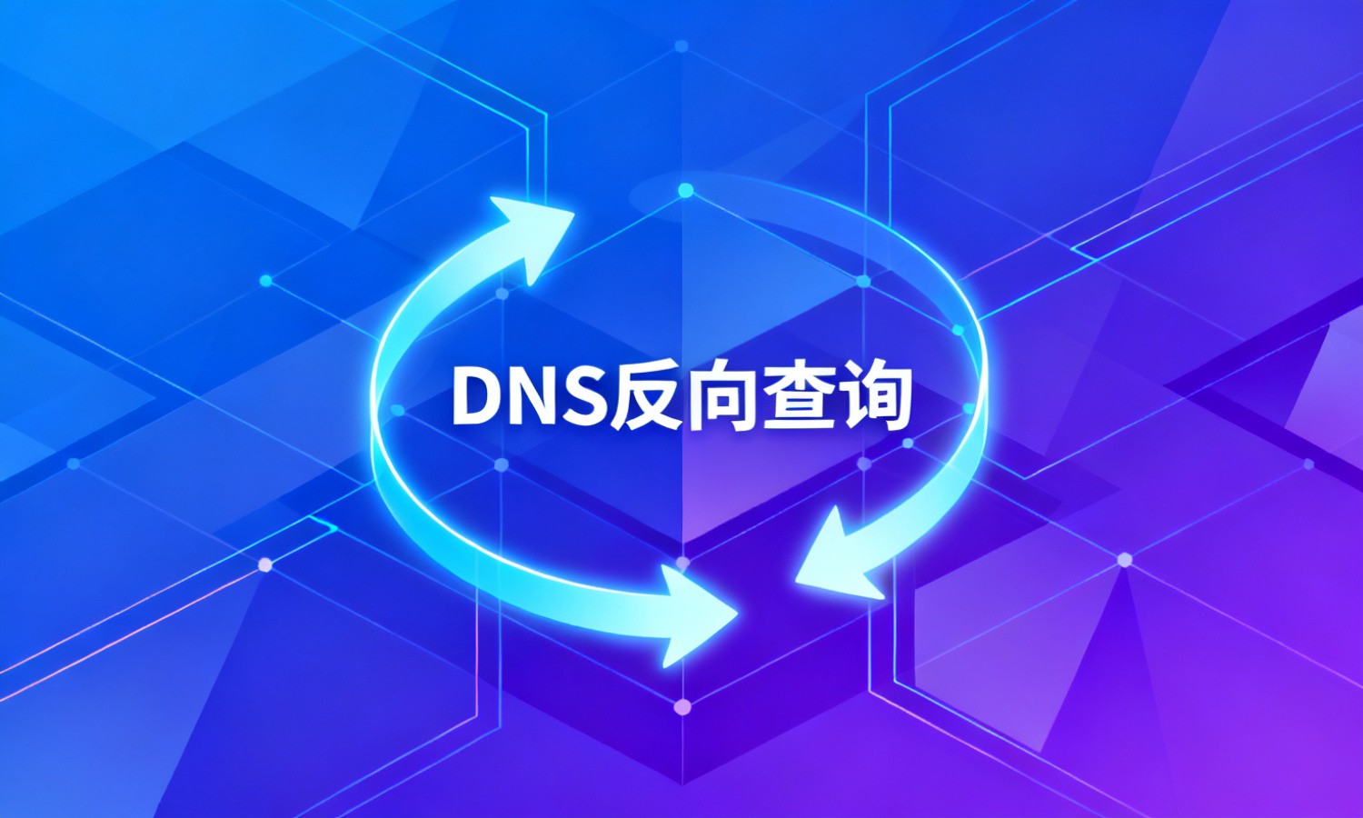 DNS反向查询