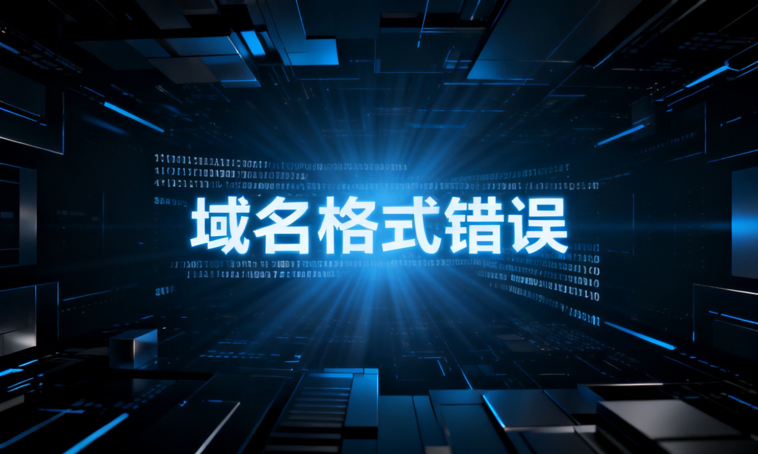 域名格式错误