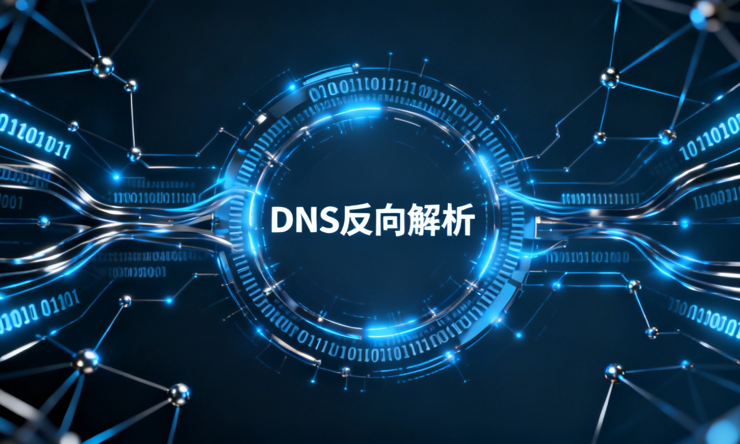 DNS反向解析