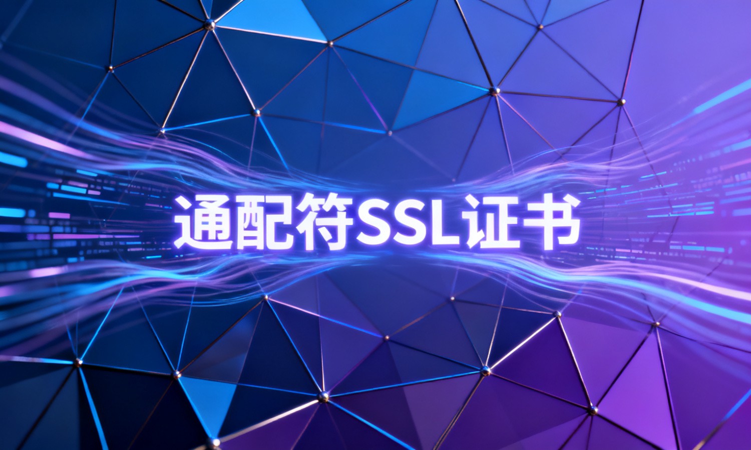 通配符SSL证书