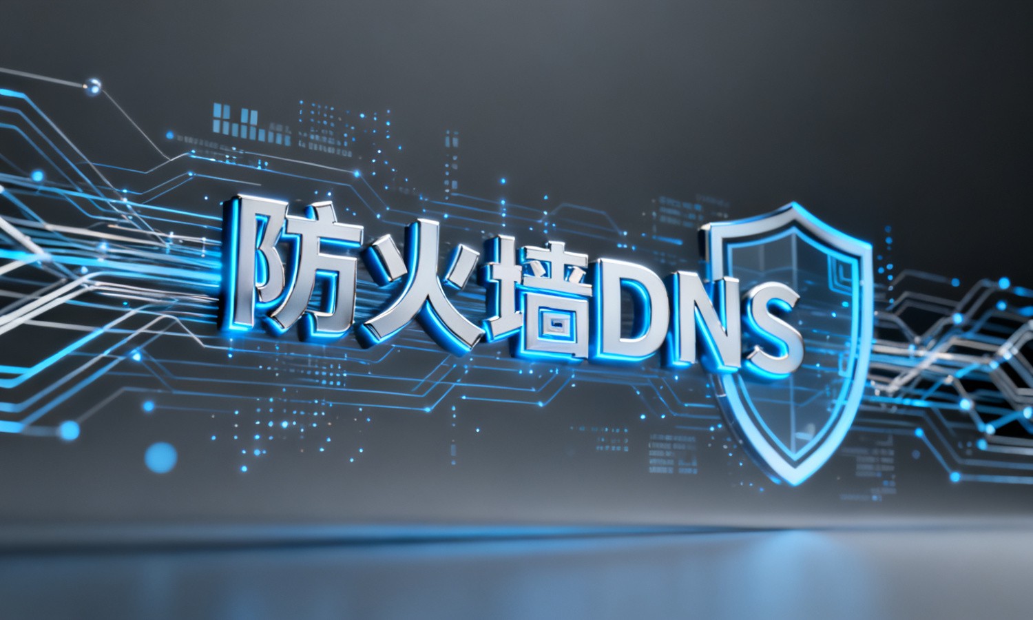 防火墙DNS