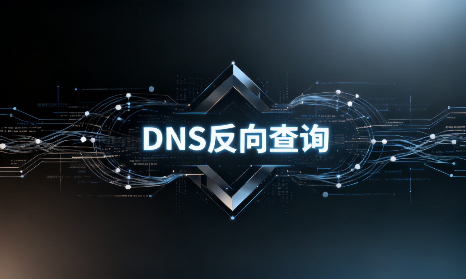 DNS反向查询