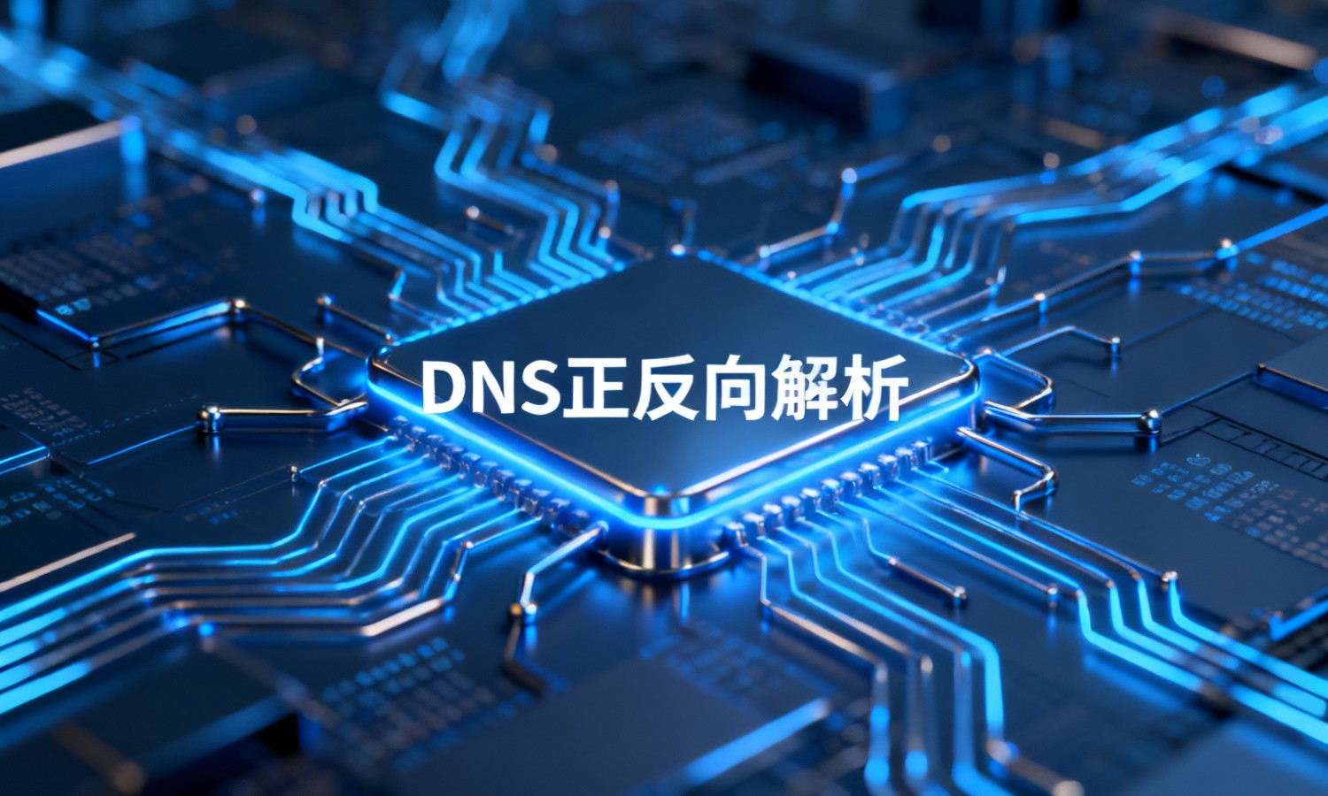 DNS正反向解析