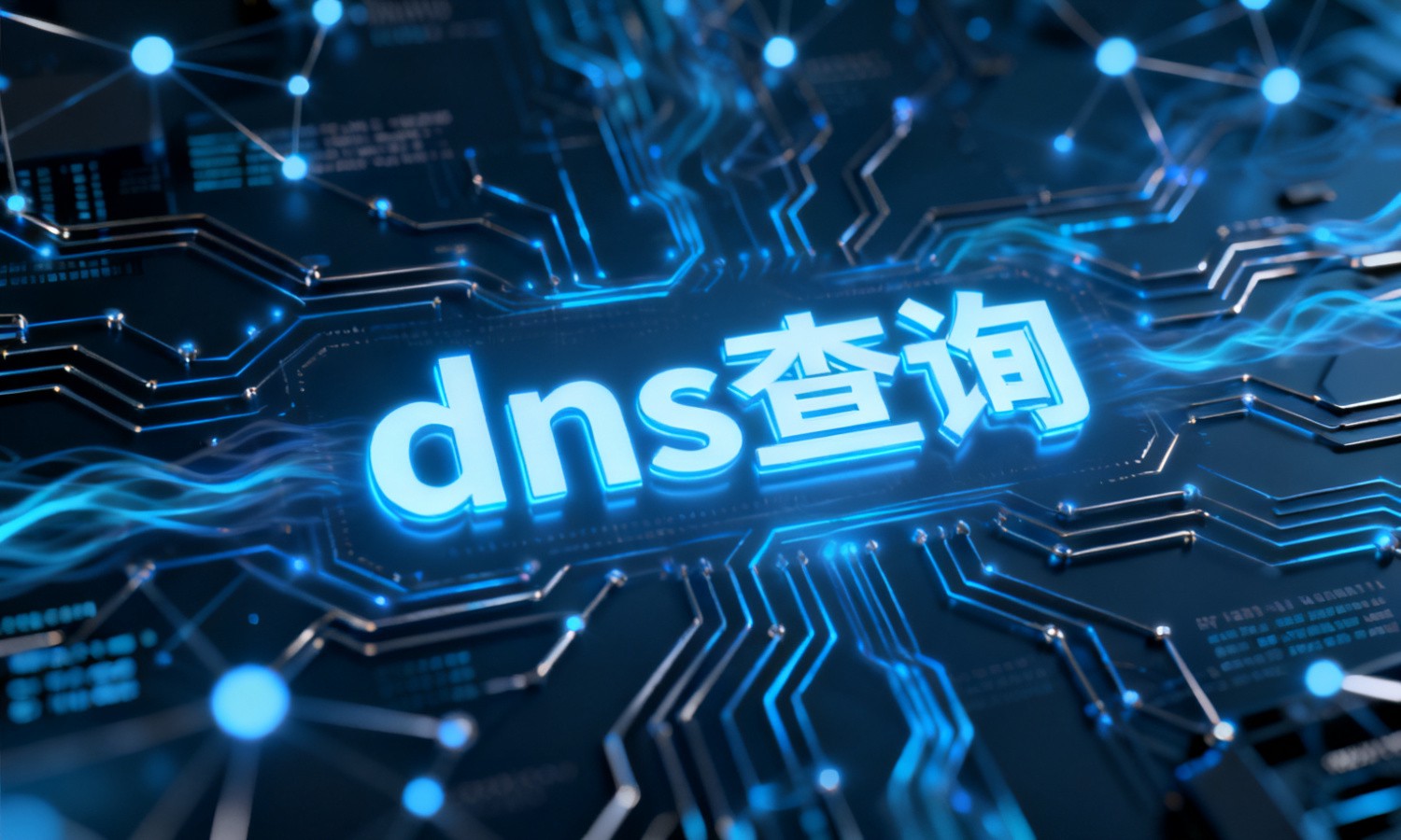 dns查询