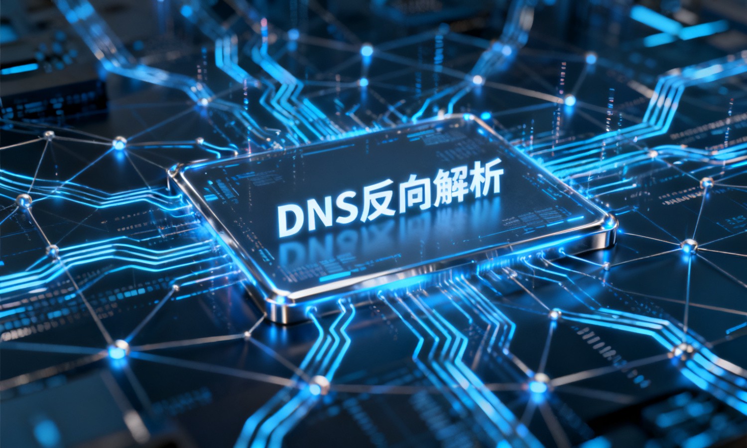 DNS反向解析
