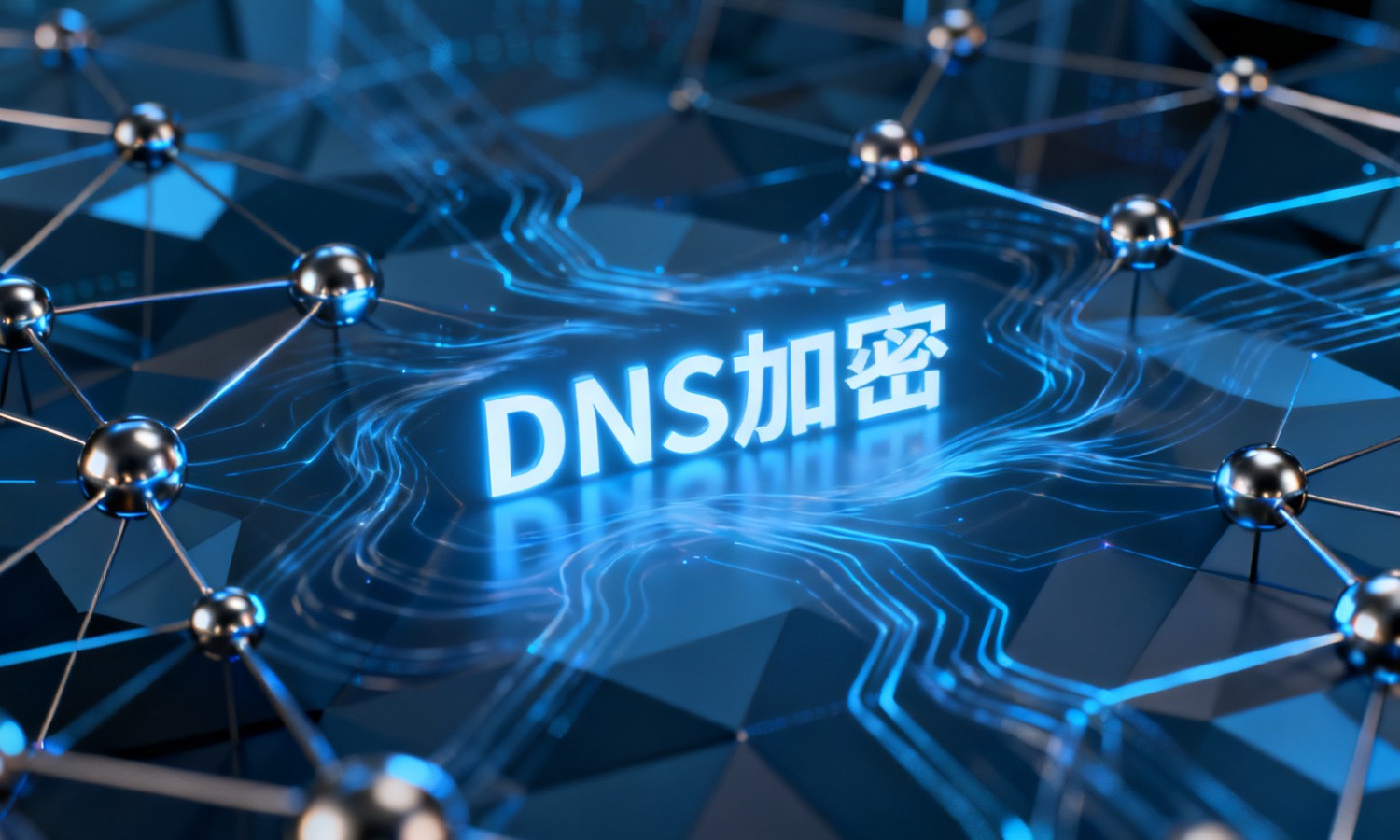 DNS加密