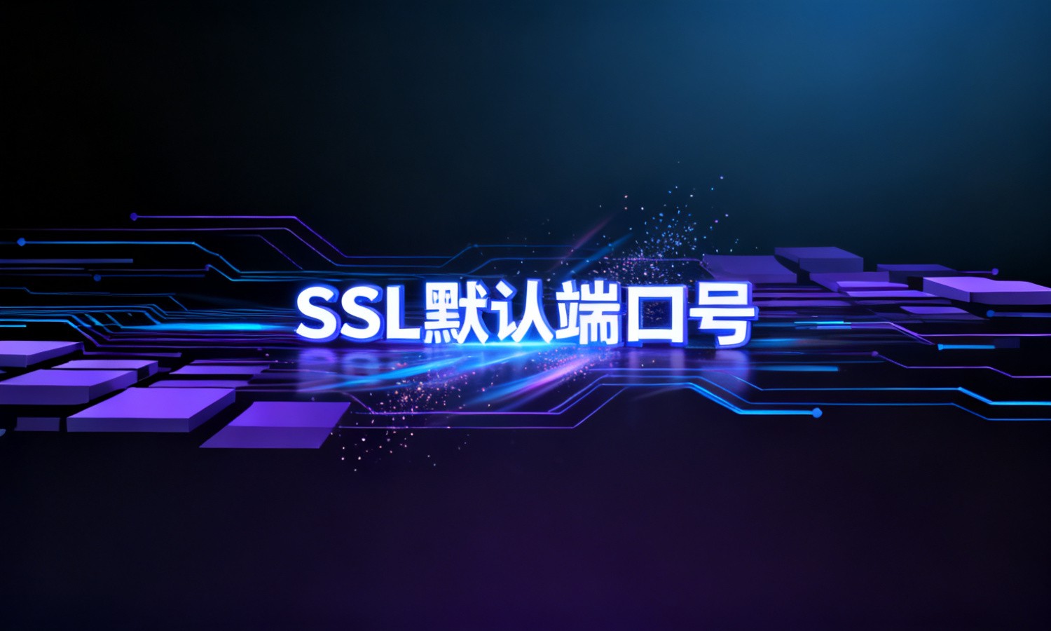SSL默认端口号