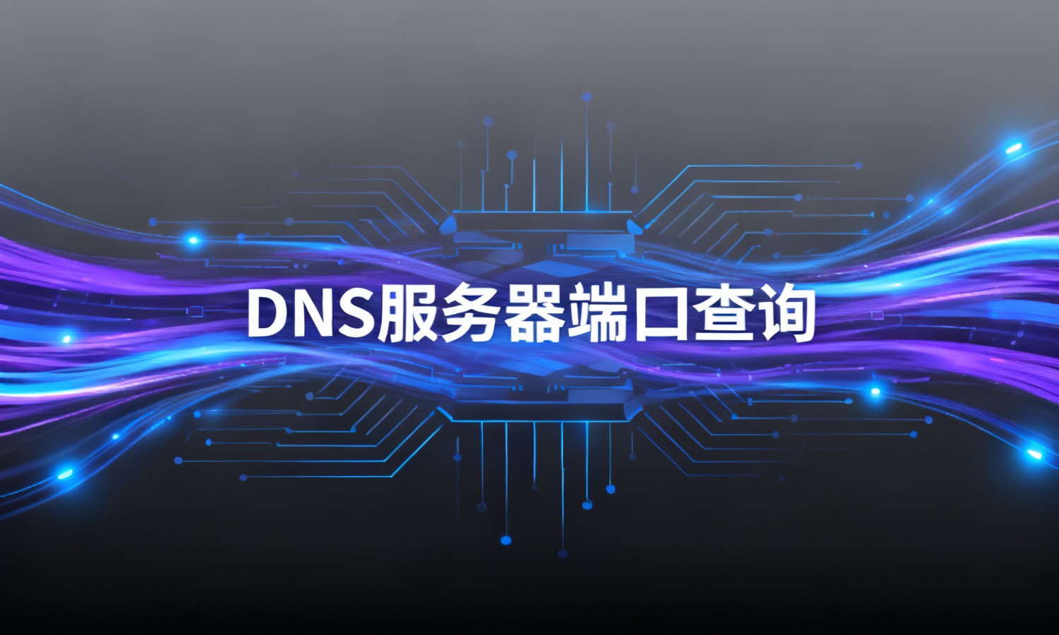 DNS服务器端口查询