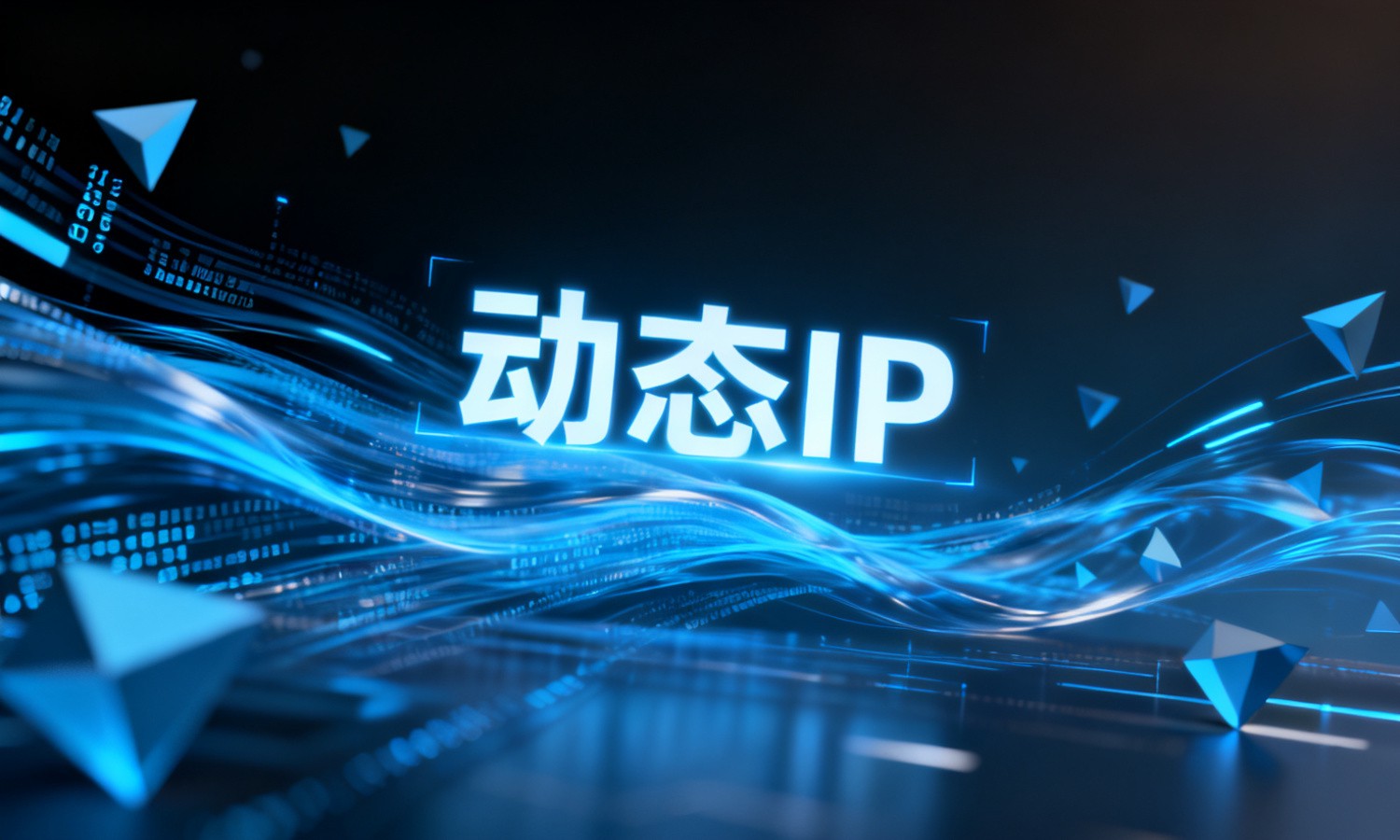 动态IP