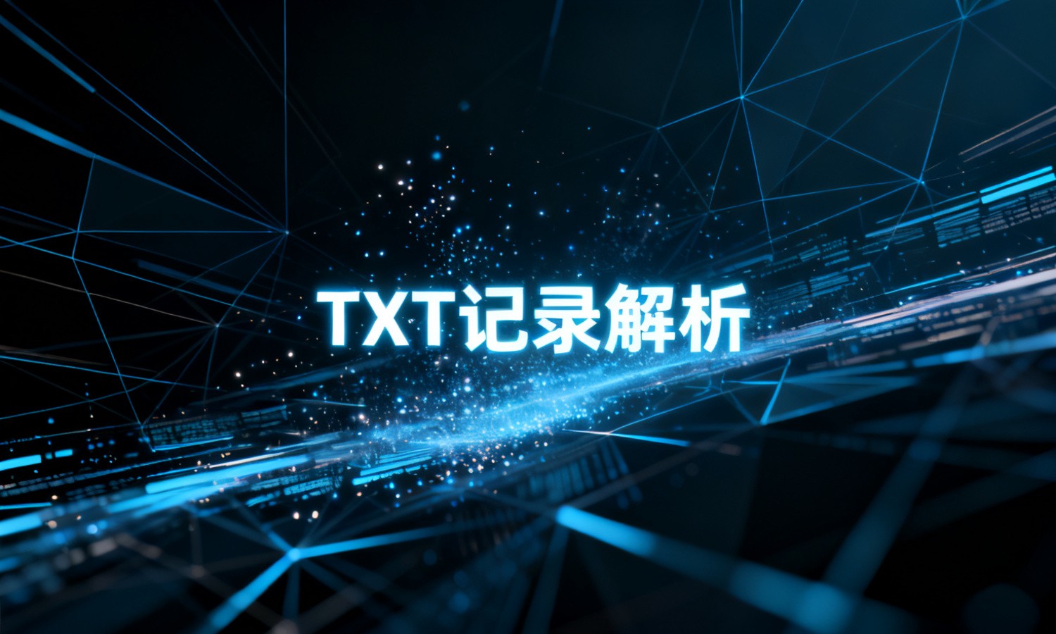 TXT记录解析