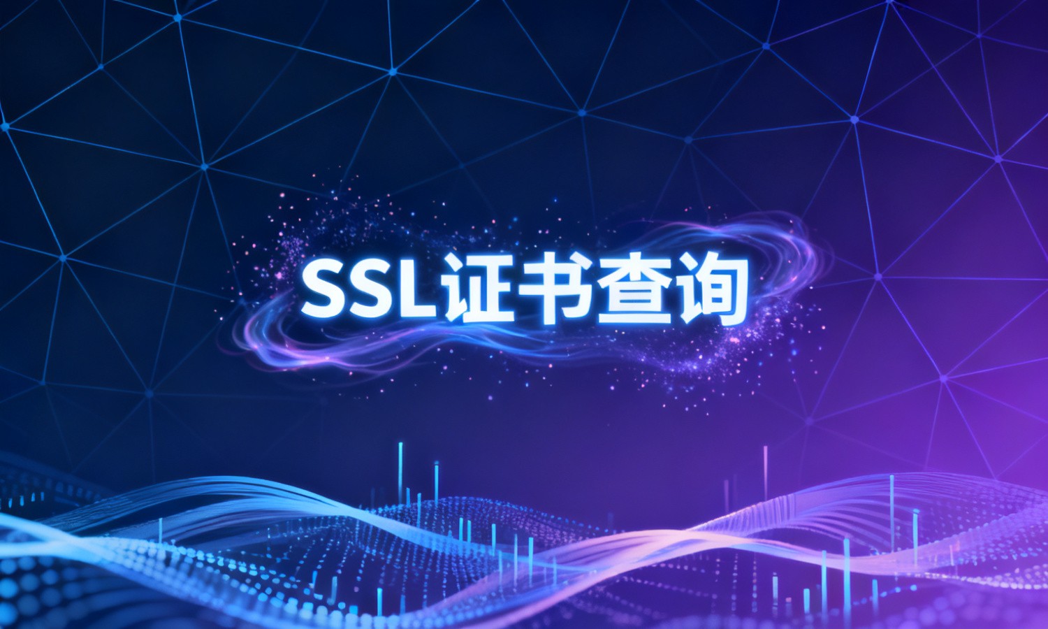 SSL证书查询
