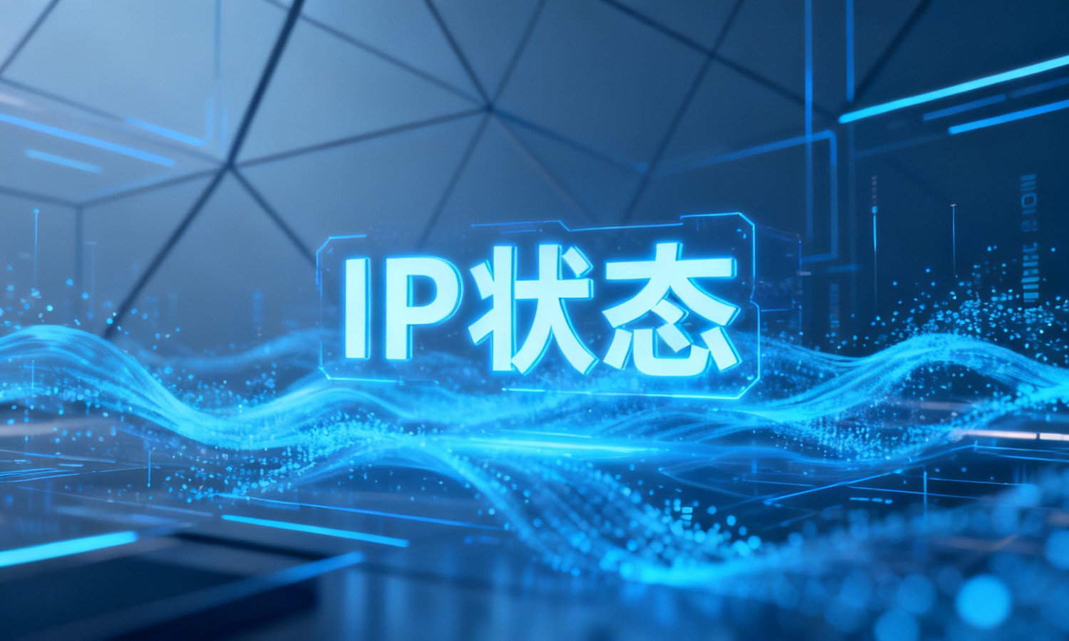 IP状态