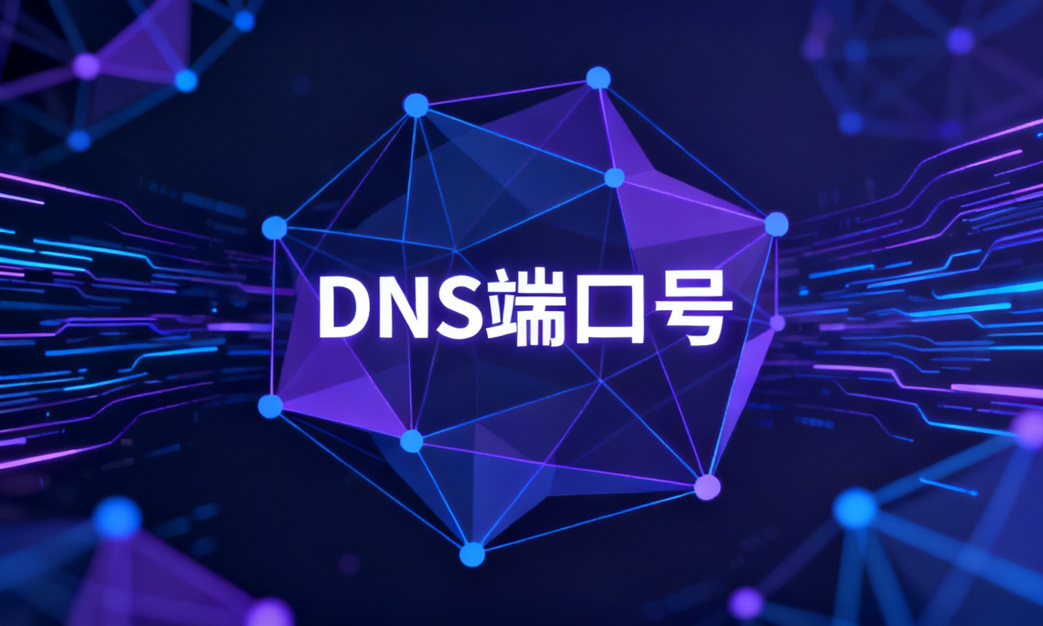 DNS端口号