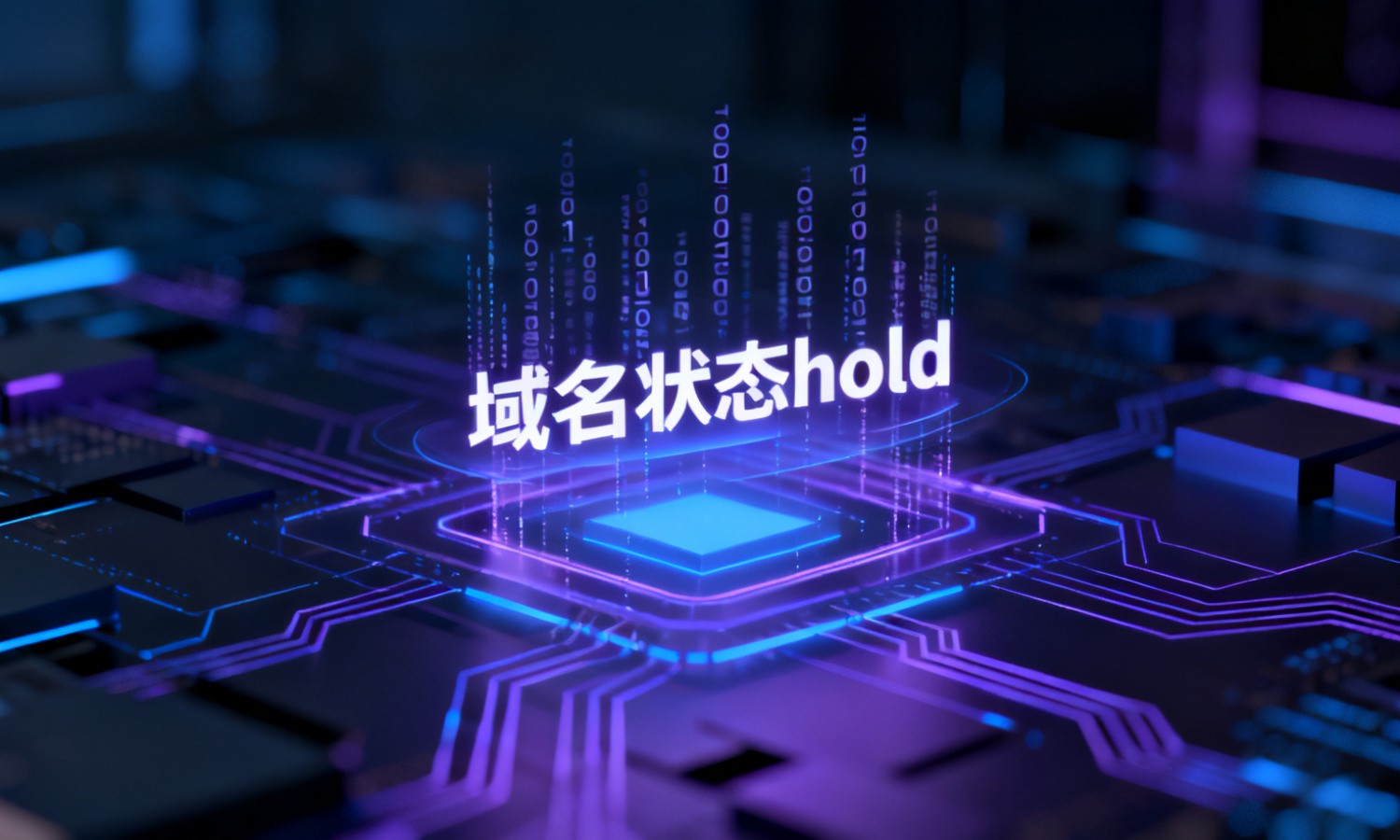 域名状态hold