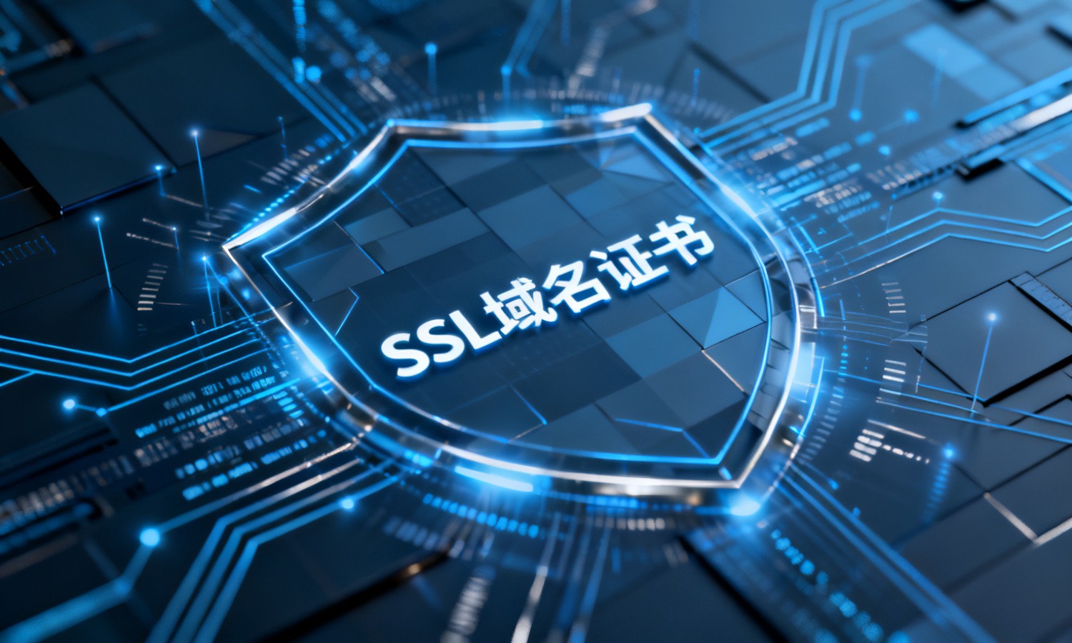 SSL域名证书