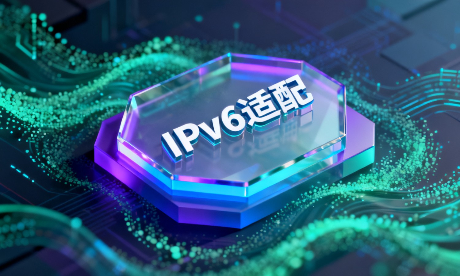 IPv6适配