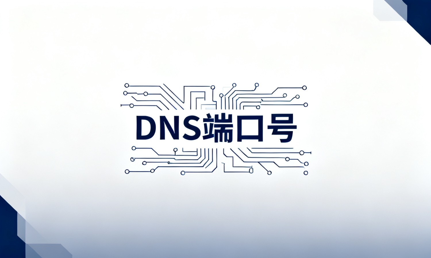 DNS端口号