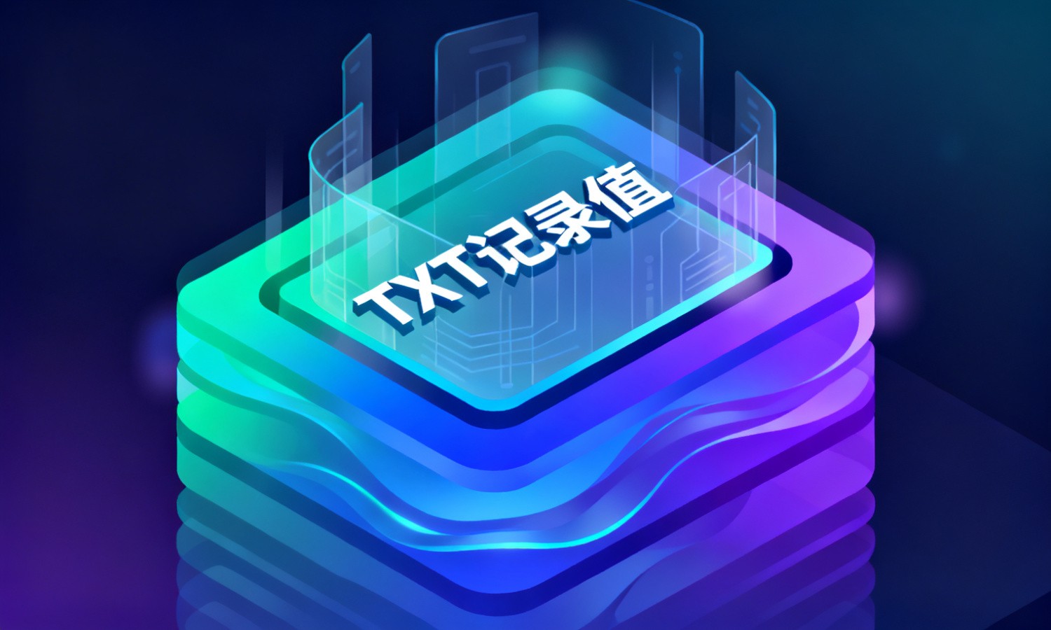 TXT记录值