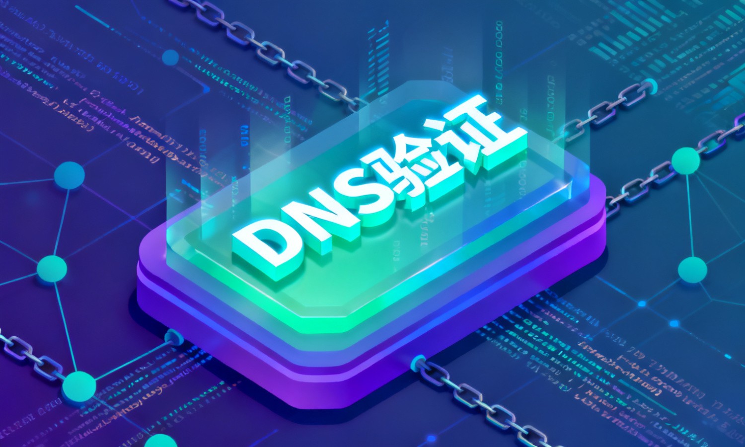 DNS验证