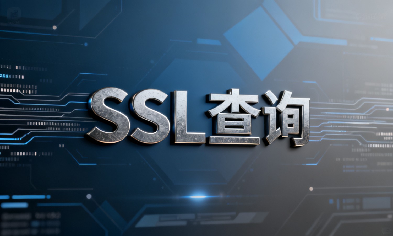 SSL查询