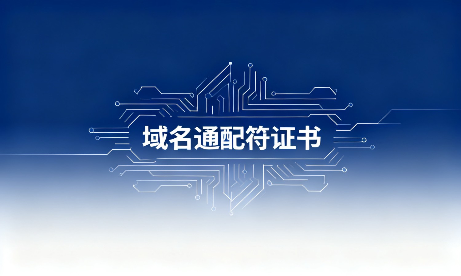域名通配符证书