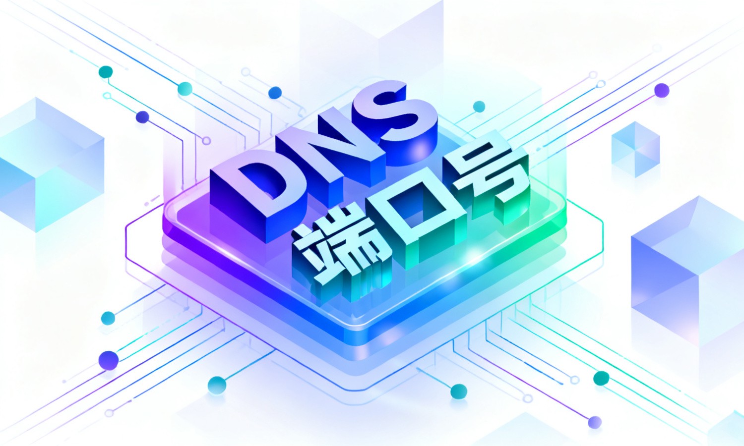 DNS端口号