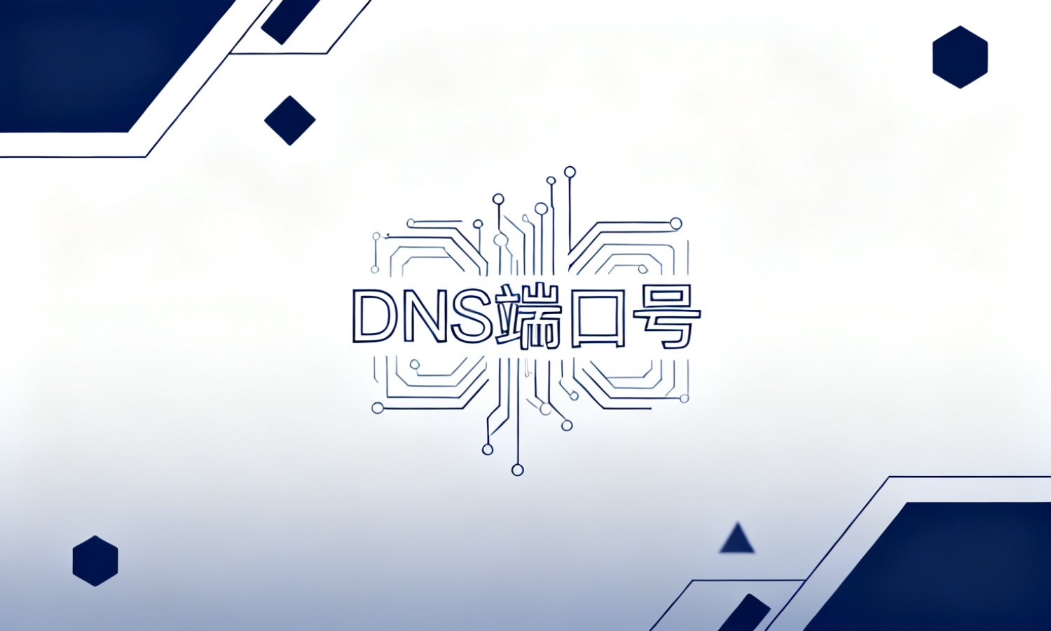DNS端口号