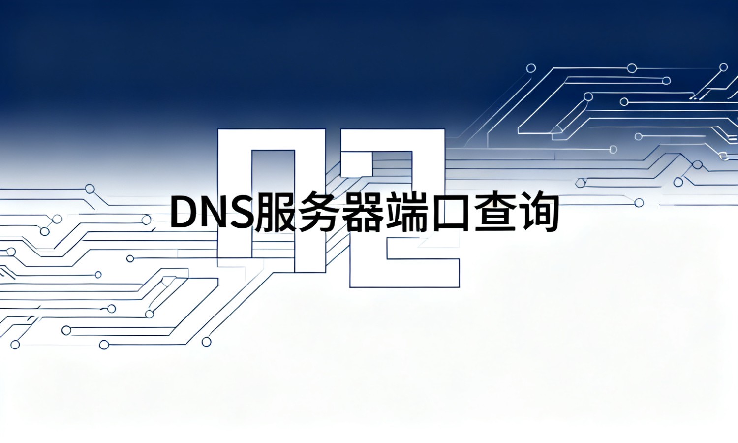 DNS服务器端口查询