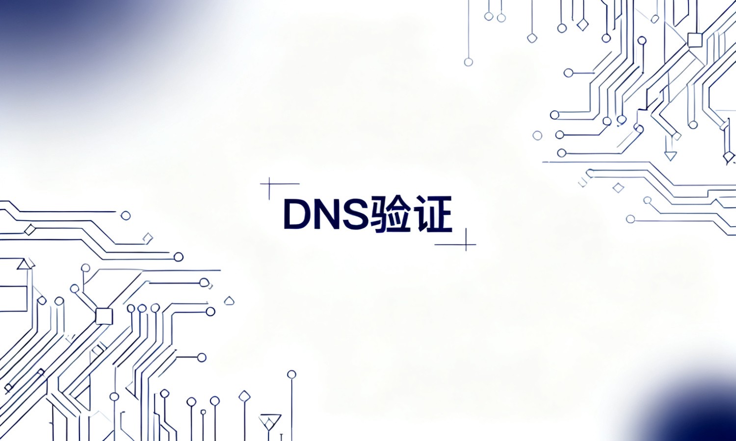 DNS验证