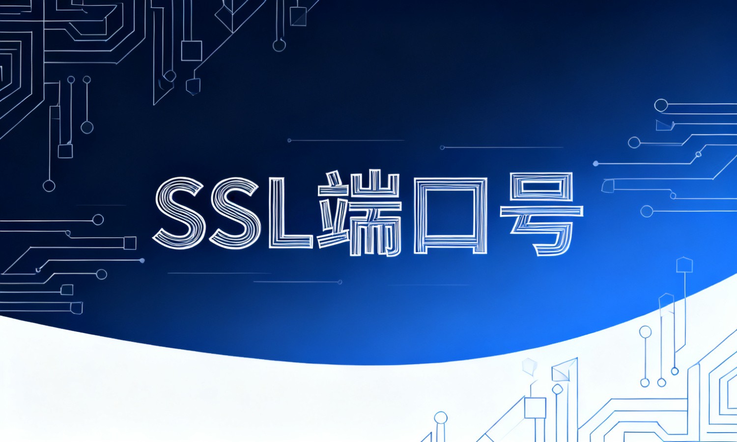 SSL端口号