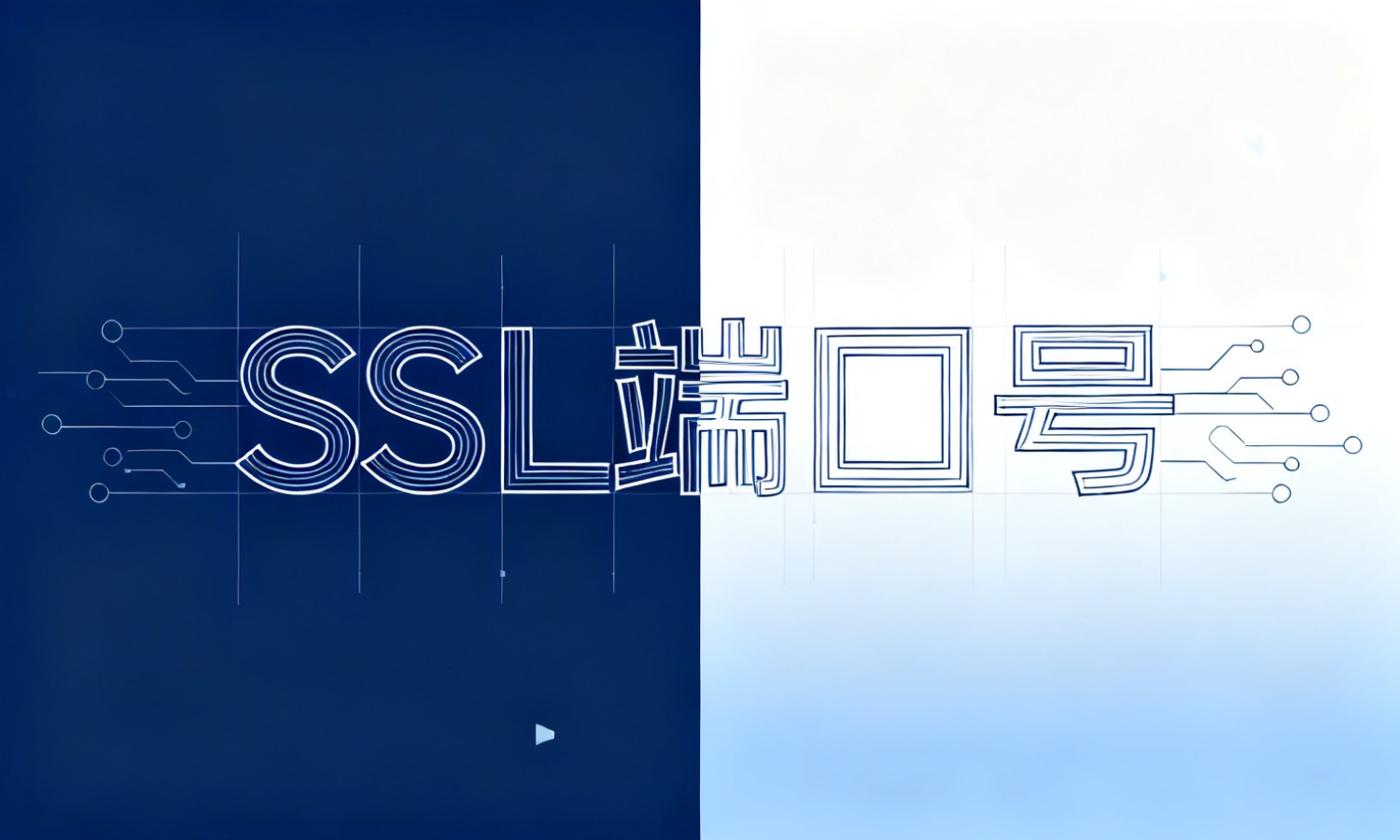 SSL端口号