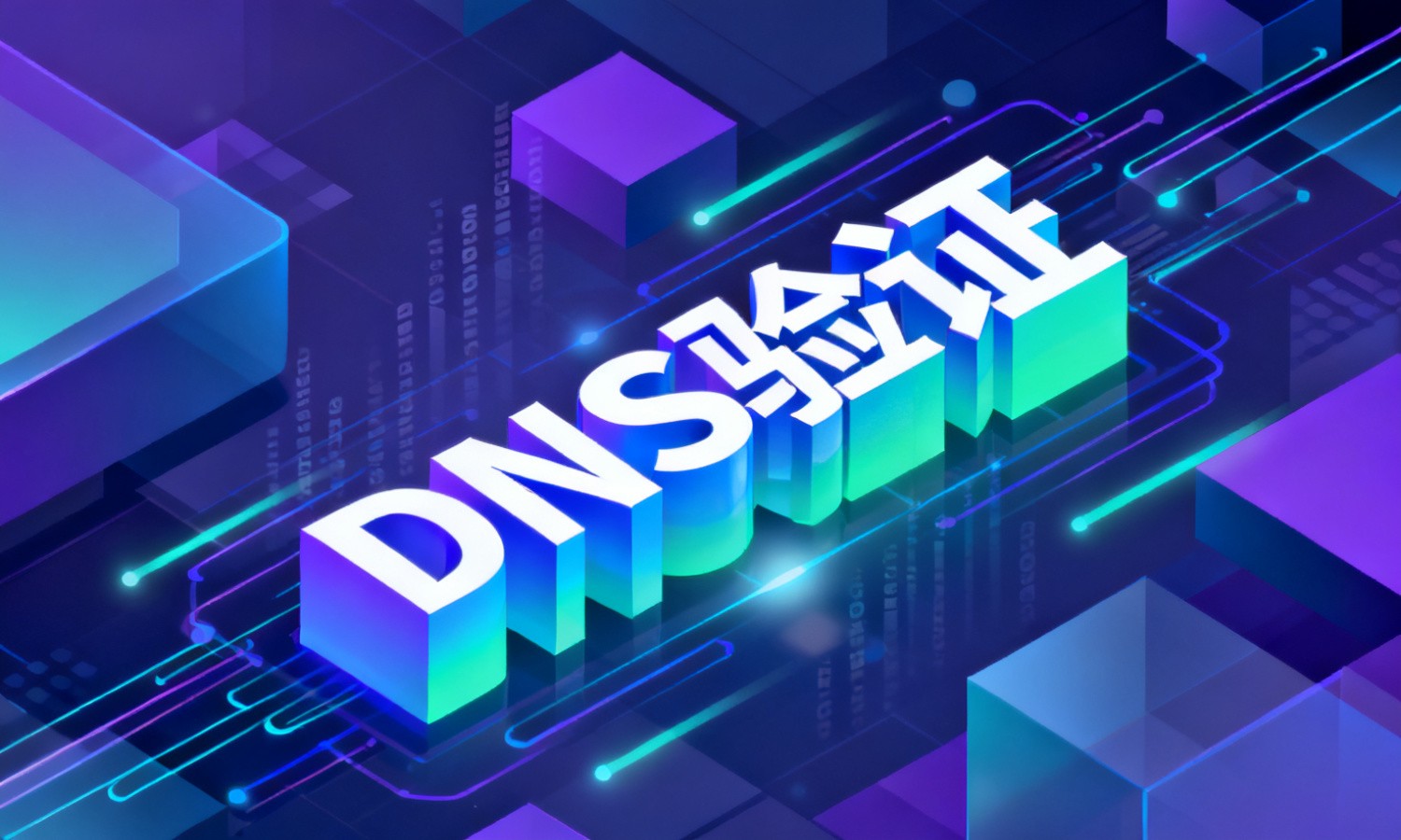 DNS验证
