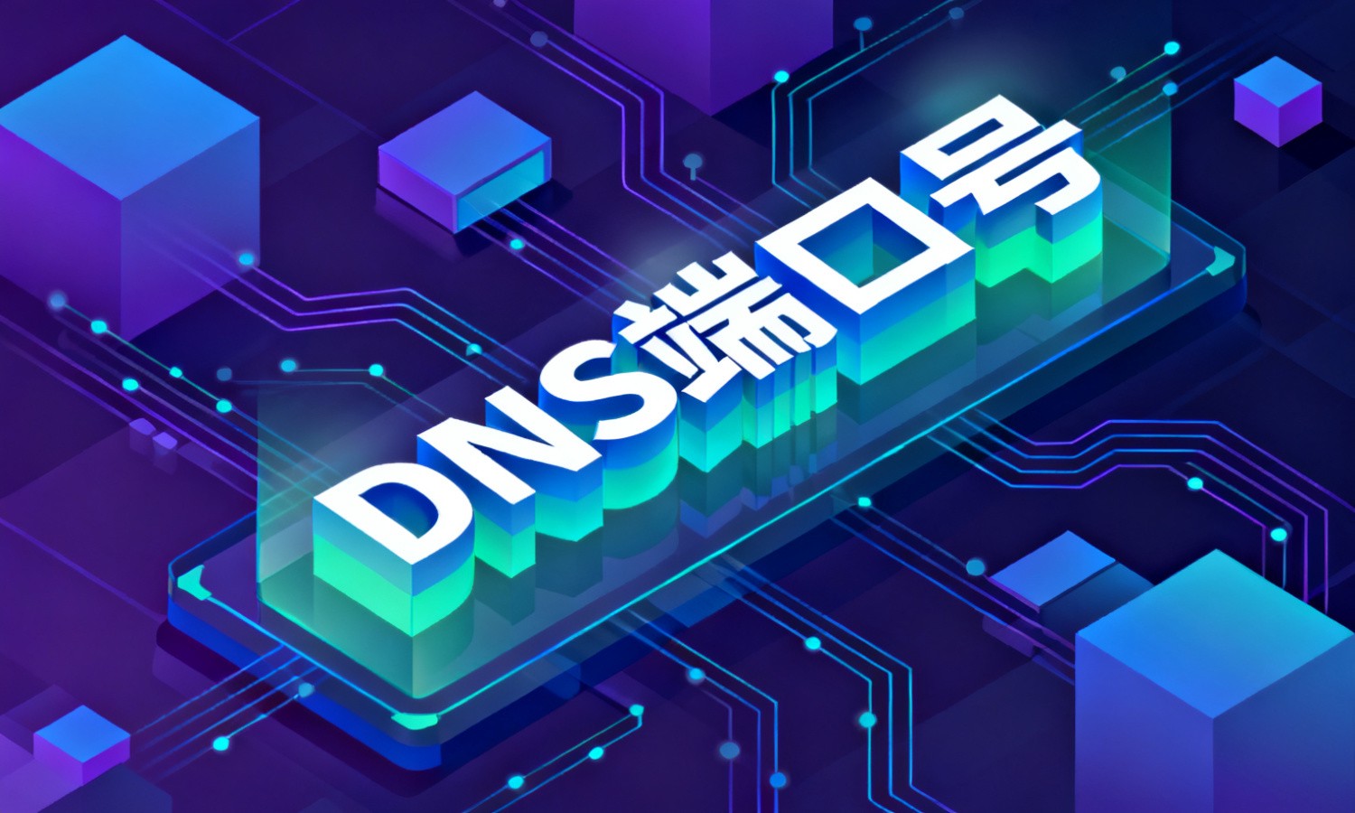DNS端口号