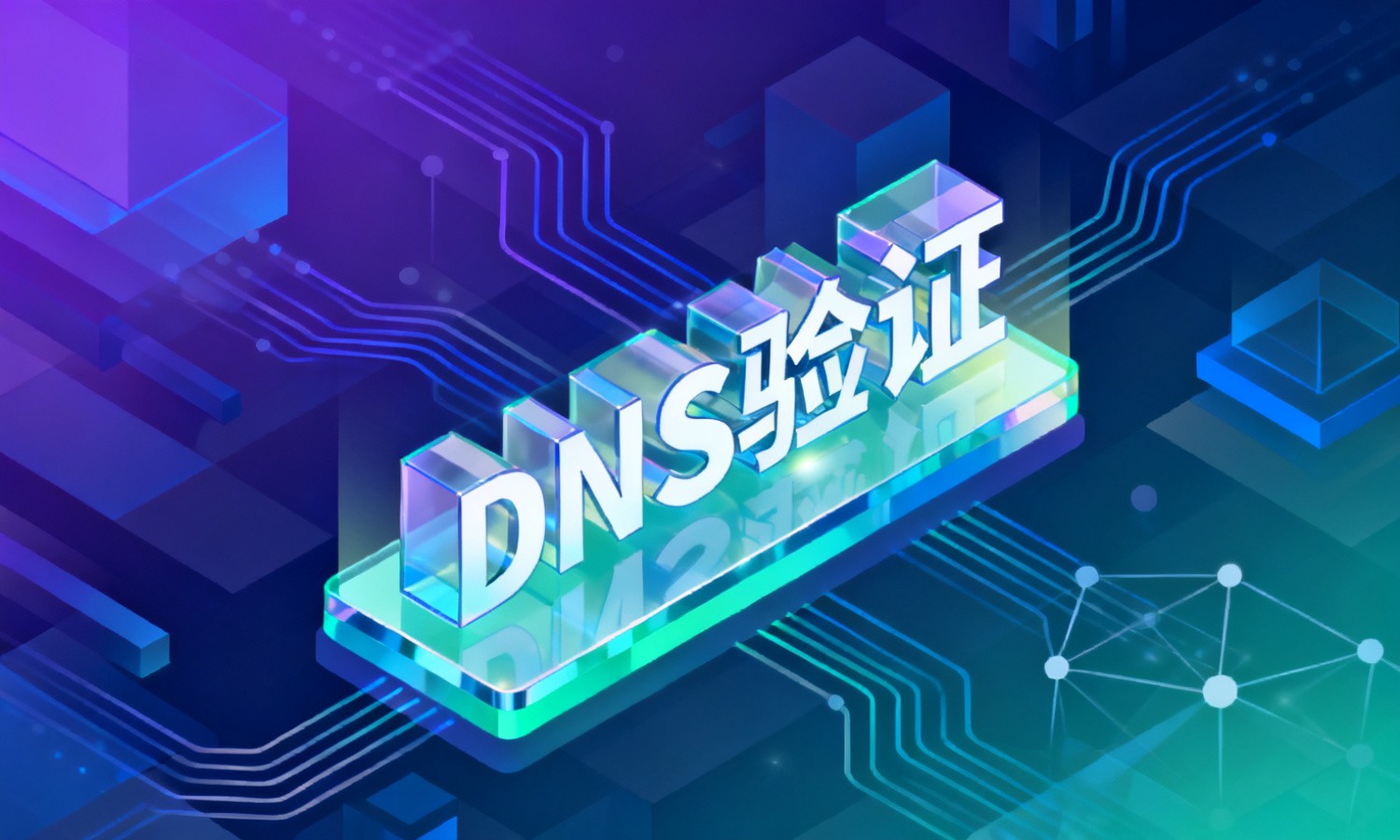 DNS验证