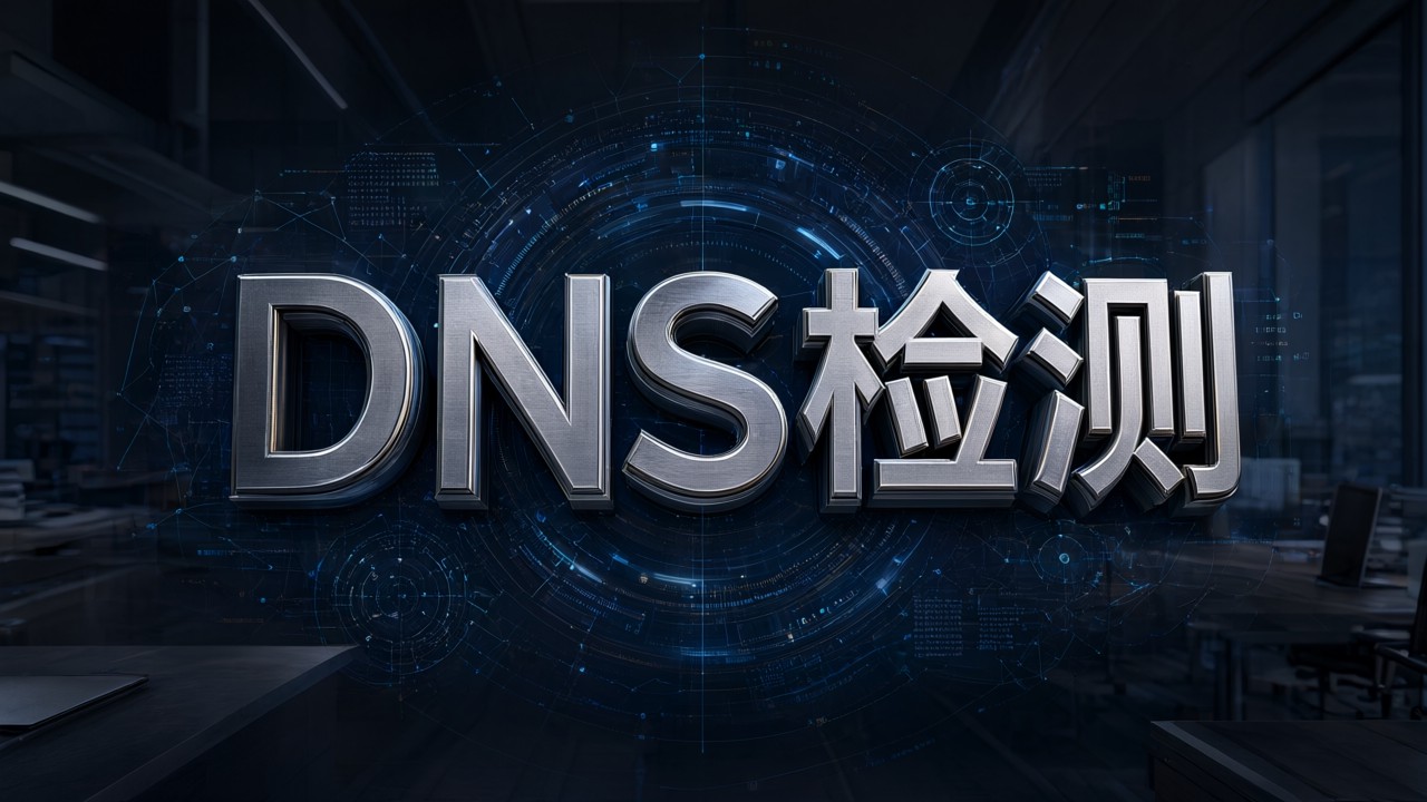DNS检测