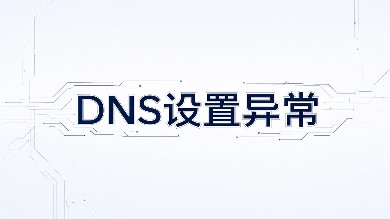 DNS设置异常